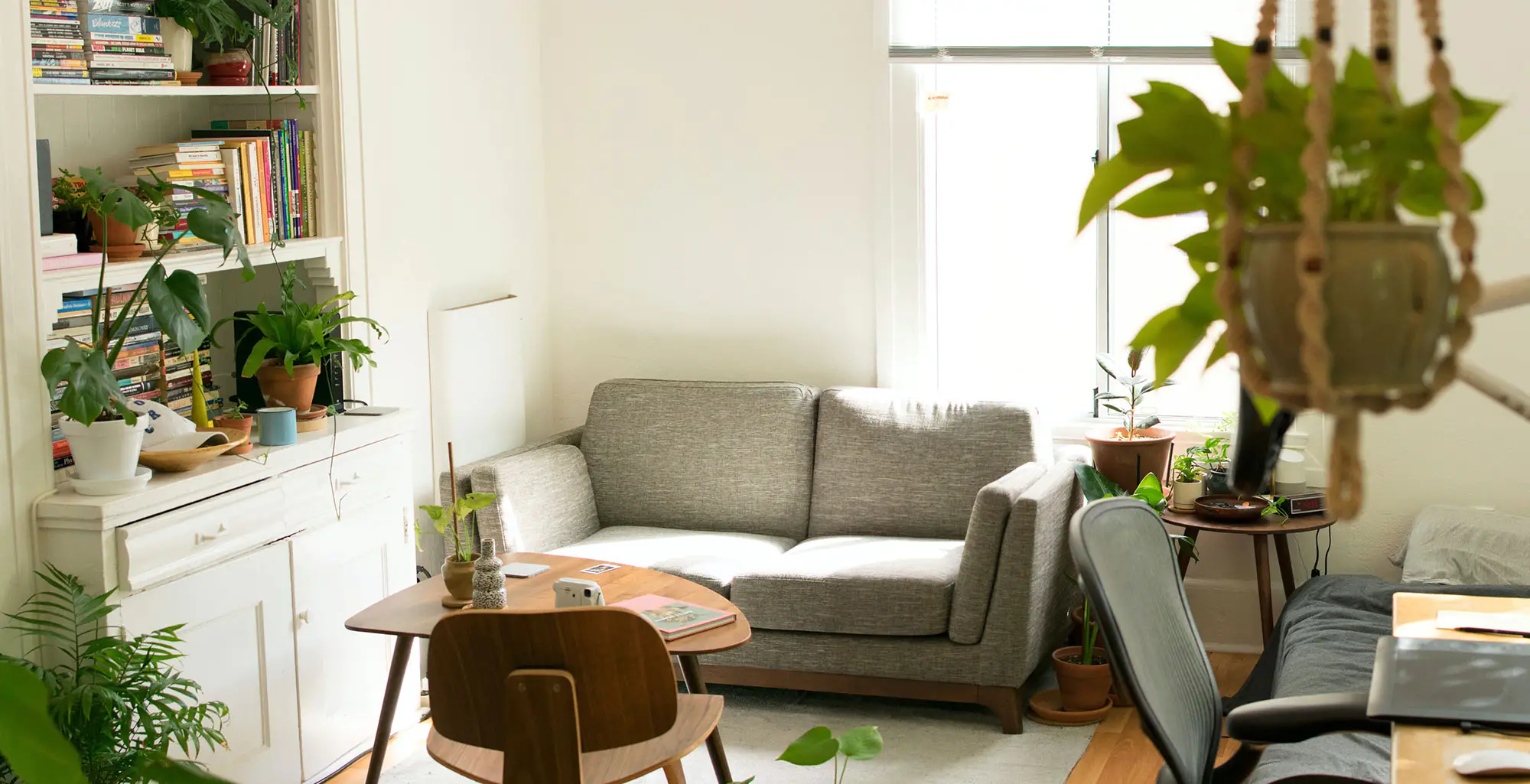 Living room with sofa, plants, and table